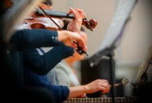 dataset interpretation notes summary